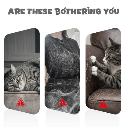 🐈 A cicád unatkozik, kaparja a bútort, te meg nem tudsz vele játszani egész nap? – Ez az automata játék segíthet
