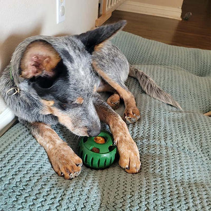 🐶 A kutyád unatkozik, kaparja a bútort? – Jutalomfalat-adagoló játék, ami leköti!