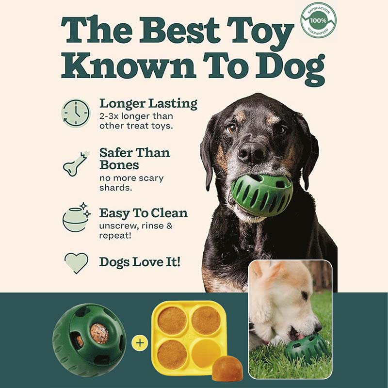 🐶 A kutyád unatkozik, kaparja a bútort? – Jutalomfalat-adagoló játék, ami leköti!