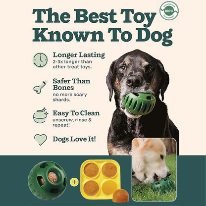 🐶 A kutyád unatkozik, kaparja a bútort? – Jutalomfalat-adagoló játék, ami leköti!