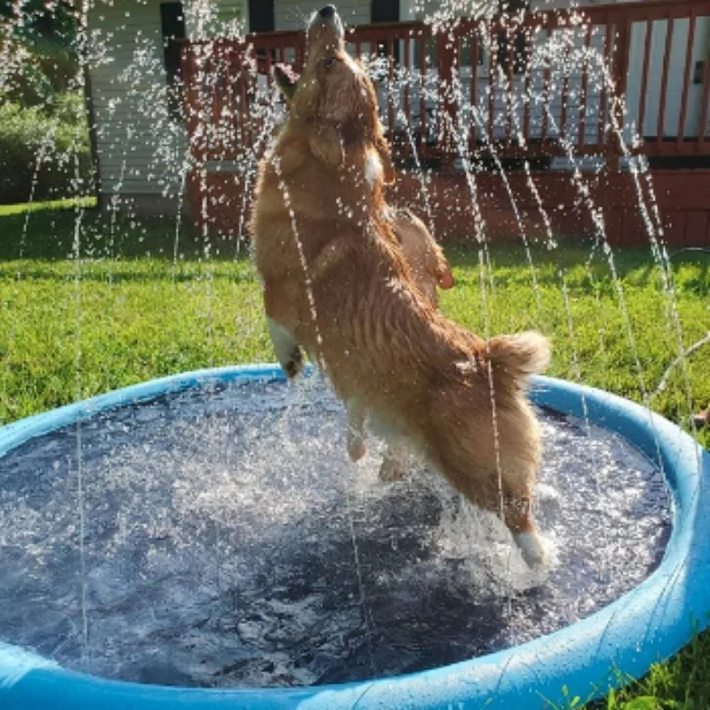 📢 50% kedvezmény! ⏰ A kutyád szeret vízbe menni, de nincs hol megpihennie? – Összecsukható matrac háziállatoknak!