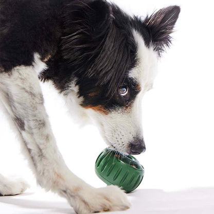 🐶 A kutyád unatkozik, kaparja a bútort? – Jutalomfalat-adagoló játék, ami leköti!