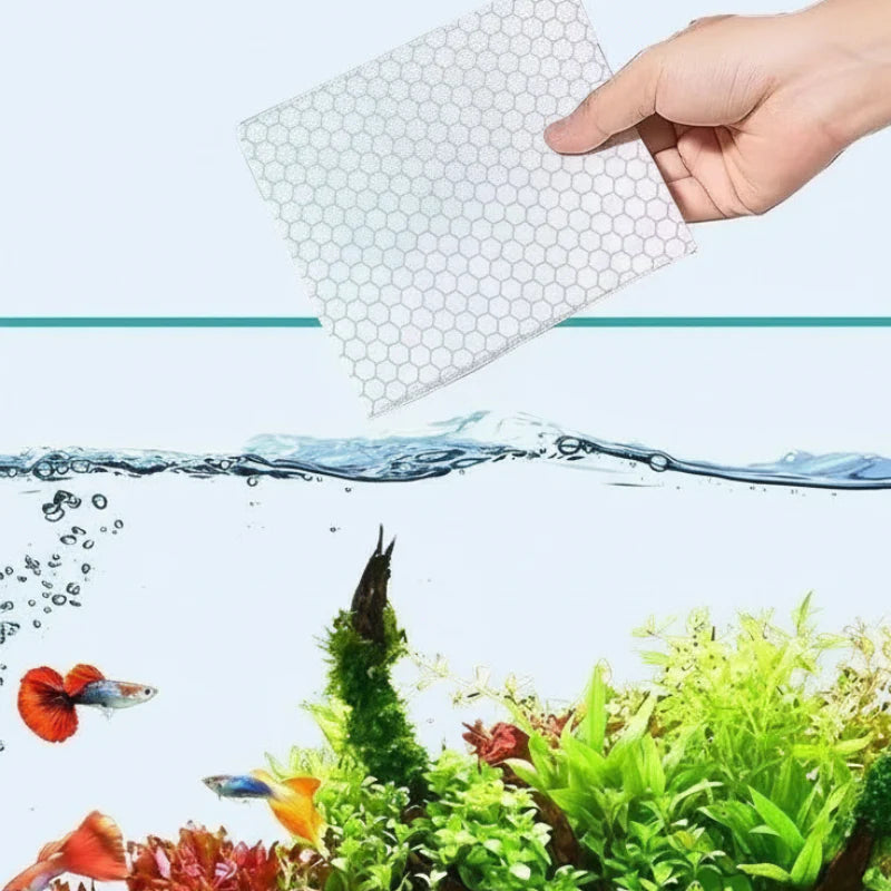 🐟 A zöldes, zavaros víz rontja az akvárium látványát? – Ezek a tisztító lapok gyorsan és biztonságosan helyreállítják a tisztaságot!