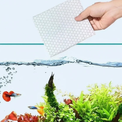 🐟 A zöldes, zavaros víz rontja az akvárium látványát? – Ezek a tisztító lapok gyorsan és biztonságosan helyreállítják a tisztaságot!