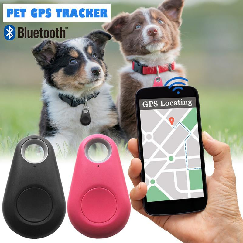 📡 Félsz, hogy a kutyád elszökik? – Bluetooth + GPS nyomkövető, ami segíthet megtalálni!