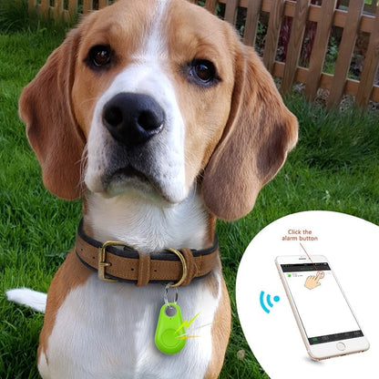 📡 Félsz, hogy a kutyád elszökik? – Bluetooth + GPS nyomkövető, ami segíthet megtalálni!