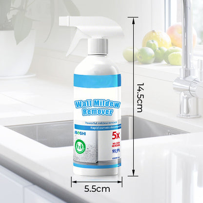 🌧️ A nedves helyeken megjelenő penészfoltok csúnyák és károsak? – Ez a hab spray eltávolítja a penészt és megakadályozza az újra kialakulását
