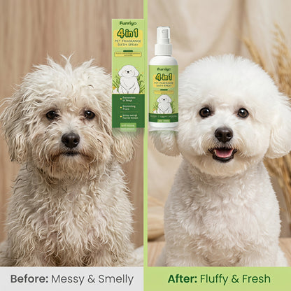 🛁 A rendszeres fürdetés időigényes és macerás? – Ez a spray gyorsan és egyszerűen frissíti fel a kutya szőrét