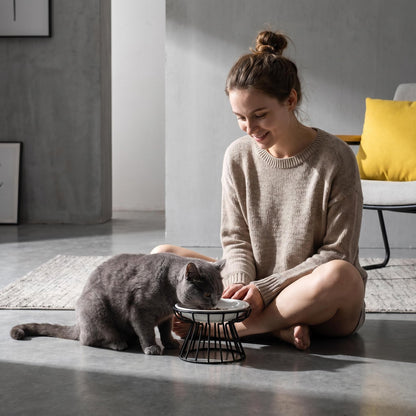 🐱 A macskád nyakát terheli a hajlongás? – Kerámia macskatál magas fémállványon! 🍽️