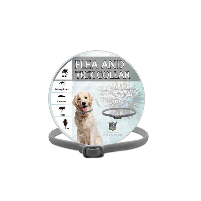 🐾 A bolhák és kullancsok kellemetlenséget okoznak kedvencednek? – Ez a nyakörv természetes összetevőkkel tartja távol a parazitákat