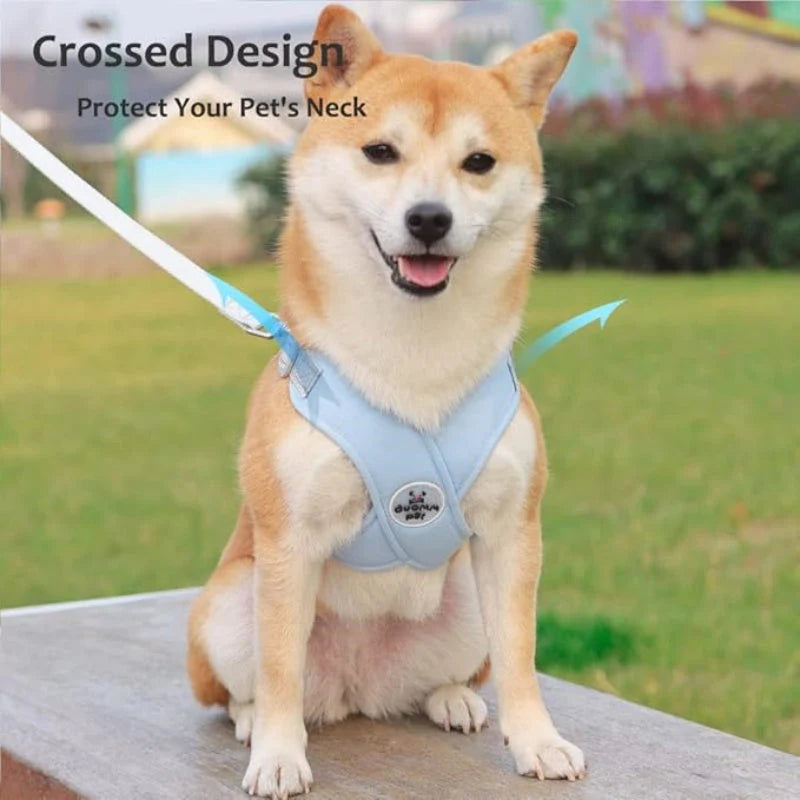 🦮 Kutyád húz séták közben, ami megnehezíti az irányítást? – Ez az X-alakú mellény segít csökkenteni a húzást és jobb kontrollt biztosít