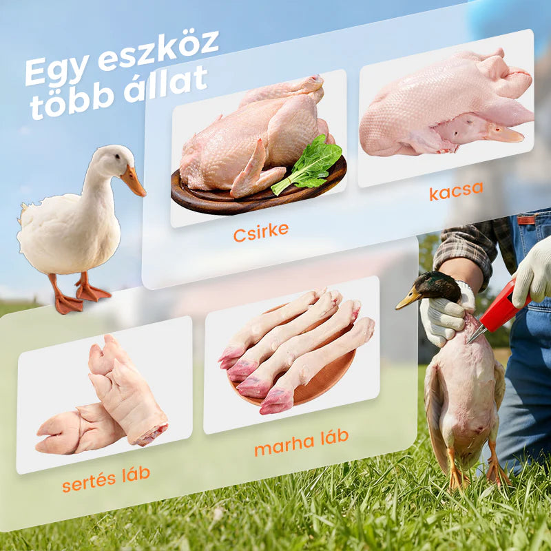 🐓 Elektromos baromfi tolltépő gép – Egyszerű tolltépés, idő- és energiamegtakarítás!