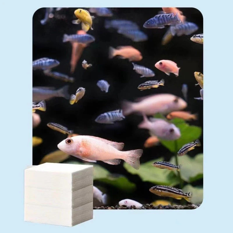 🐟 A zöldes, zavaros víz rontja az akvárium látványát? – Ezek a tisztító lapok gyorsan és biztonságosan helyreállítják a tisztaságot!