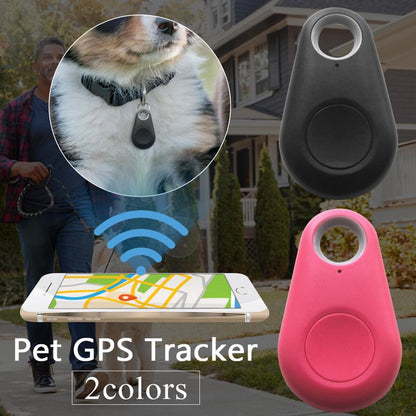 📡 Félsz, hogy a kutyád elszökik? – Bluetooth + GPS nyomkövető, ami segíthet megtalálni!